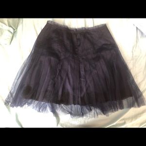 Navy sheer and lace skirt!